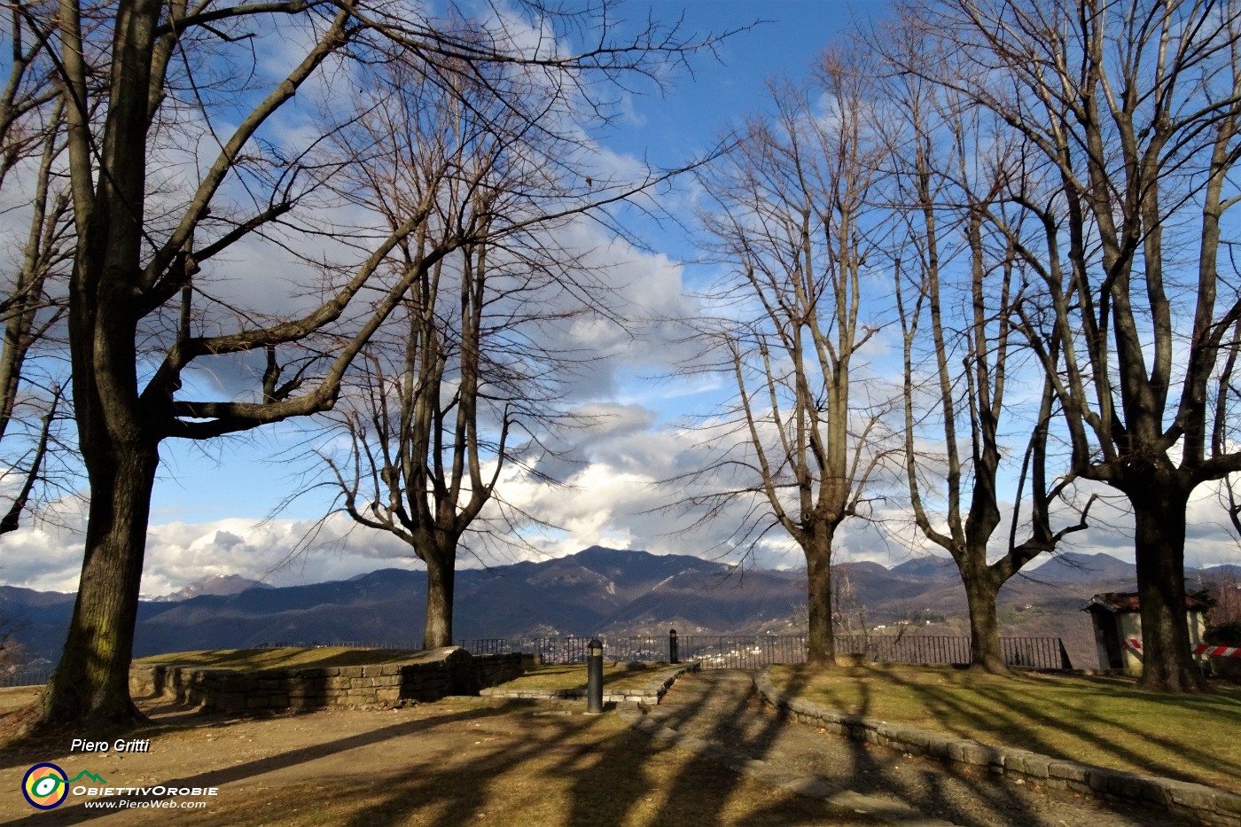 49 Oltre le piante vista in Canto Alto.JPG
